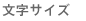 文字サイズ